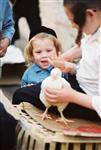 Do Yom Kippur kaparot in Jerusalem