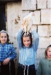 Do Yom Kippur kaparot in Jerusalem