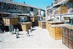 Jews build a sukkah streets of Jerusalem