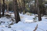 Jerusalem on a snowy day