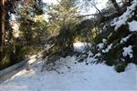 Jerusalem on a snowy day