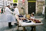 Torah Scrolls