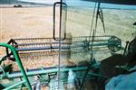 Harvest