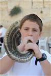 shofar