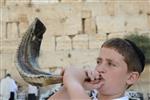 shofar