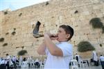 shofar