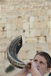 shofar