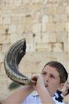 shofar