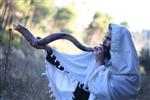 Shofar