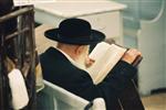 learning torah