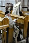 Jews praying in the synagogue with prayer shawl and phylacteries