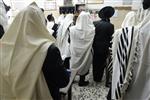 Jews praying in the synagogue with prayer shawl and phylacteries