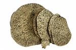 Matzah