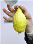 etrog