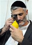 etrog