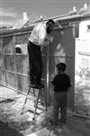 sukkot