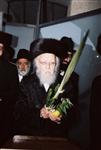 Gigantic Lulav and Etrog