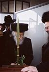 Gigantic Lulav and Etrog