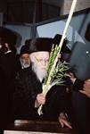 Gigantic Lulav and Etrog