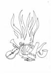 musical instruments