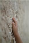 The Western Wall in Jerusalem