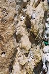 The Western Wall in Jerusalem