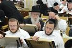 הרב יוסף צבי שטיגל זצל