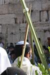 אדם מחזיק בידו ארבעת המינים בכותל המערבי בירושלים