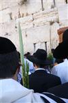 אדם מחזיק בידו ארבעת המינים בכותל המערבי בירושלים