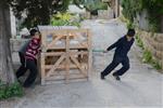 Children collecting firewood Lag BaOmer