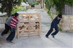 Children collecting firewood Lag BaOmer