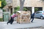 Children collecting firewood Lag BaOmer