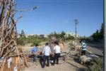 ילדים אוספים עצים למדורת ל&quot;ג בעומר