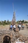 Children collecting firewood Lag BaOmer