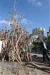 ילדים אוספים עצים למדורת ל&quot;ג בעומר