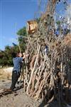 Children collecting firewood Lag BaOmer