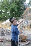 Children collecting firewood Lag BaOmer