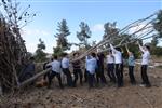 ילדים אוספים עצים למדורת ל&quot;ג בעומר