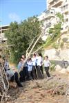 Children collecting firewood Lag BaOmer