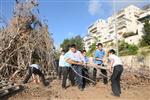 ילדים אוספים עצים למדורת ל&quot;ג בעומר