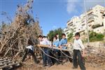 ילדים אוספים עצים למדורת ל&quot;ג בעומר