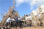 ילדים אוספים עצים למדורת ל&quot;ג בעומר