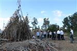 ילדים אוספים עצים למדורת ל&quot;ג בעומר