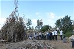 Children collecting firewood Lag BaOmer