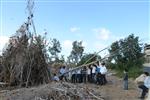 Children collecting firewood Lag BaOmer