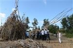 Children collecting firewood Lag BaOmer