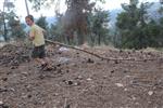 Children collecting firewood Lag BaOmer