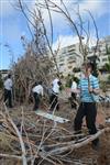 Children collecting firewood Lag BaOmer