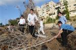 Children collecting firewood Lag BaOmer