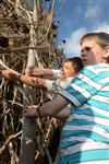 Children collecting firewood Lag BaOmer